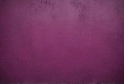 The primary subject of the image is a purple wall. The setting is a room with a purple wall, and the visual style is a close-up of the wall. The dominant colors are purple, and the overall atmosphere is calm and serene.