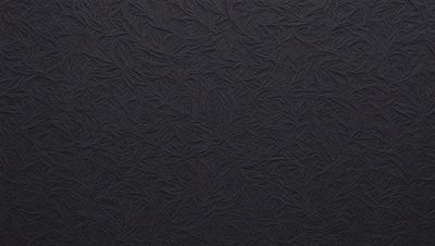 The primary subject of the image is a black background with a pattern of white and brown lines. The setting is a dark room, and the visual style is a close-up of the pattern. The colors and mood of the image are predominantly dark, with the white and brown lines creating a contrast against the black background.