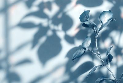 The primary subject of the image is a leafy plant with blue leaves, which is the main focus of the image. The setting is a blue wall, and the visual style is a photo. The colors and mood of the image are predominantly blue, creating a calm and serene atmosphere.