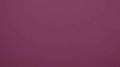 The primary subject of the image is a large, purple wall. The setting is a room with a purple background, which creates a unique and striking visual effect. The visual style of the image is a close-up of the purple wall, emphasizing its color and texture. The dominant colors in the image are purple, which creates a calm and soothing atmosphere.