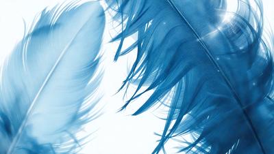 The primary subject of the image is a close-up of a blue feather. The setting is a white background, which provides a clean and minimalistic look. The visual style is a combination of a photo and digital art, as the feather appears to be a part of a larger blue pattern. The colors and mood of the image are predominantly blue, creating a calm and serene atmosphere.