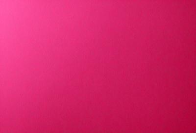 The primary subject of the image is a pink wall. The setting is a room with a pink wall, and the visual style is a close-up of the wall. The colors and mood of the image are predominantly pink, creating a warm and inviting atmosphere.