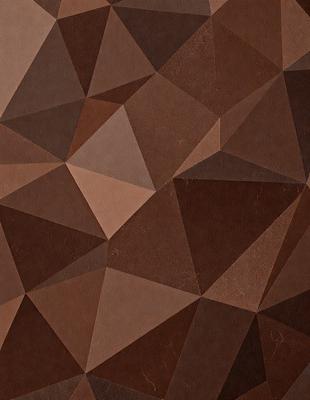 The primary subject of the image is a brown and tan patterned surface, which appears to be a textured wall or a piece of artwork. The setting is indoors, with the surface being the main focus of the image. The visual style is a combination of a photo and a digital artwork, creating a unique and intriguing appearance. The colors and mood of the image are warm and earthy, with the brown and tan tones evoking a sense of natural beauty and texture.