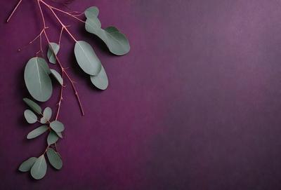 The primary subject of the image is a branch with green leaves. The setting is a purple wall, which serves as the background. The visual style is a photo, capturing the natural beauty of the branch and leaves. The colors and mood of the image are predominantly purple, creating a calm and serene atmosphere.