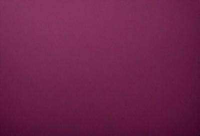 The primary subject of the image is a purple wall. The setting is a room with a purple wall, and the visual style is a close-up of the wall. The colors and mood of the image are predominantly purple, creating a calm and serene atmosphere.