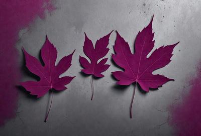 The primary subject of the image is a group of three purple leaves, which are the main objects in the scene. The leaves are arranged in a row, with one leaf on the left, one in the middle, and one on the right. The setting is a gray wall, which serves as the backdrop for the leaves. The visual style of the image is a close-up of the leaves, showcasing their purple color and texture. The overall atmosphere of the image is calm and serene, with the purple leaves creating