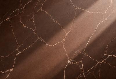 The primary subject of the image is a marble floor with a sunlight shining on it. The setting is a room with a brown floor, and the visual style is a photo. The colors and mood of the image are warm and inviting, with the sunlight creating a cozy atmosphere.