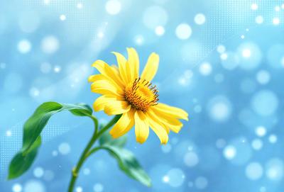 The primary subject of the image is a yellow flower with a brown center, sitting in a blue background. The visual style of the image is a photo, capturing the beauty of the flower in its natural environment. The colors and mood of the image are predominantly blue and yellow, creating a sense of calmness and serenity.