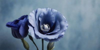The primary subject of the image is a blue flower with a white center, which is the main focus of the image. The setting is a blue background, which adds to the overall mood of the image. The visual style is a close-up of the flower, showcasing its details. The colors and mood of the image are predominantly blue, creating a calm and serene atmosphere.
