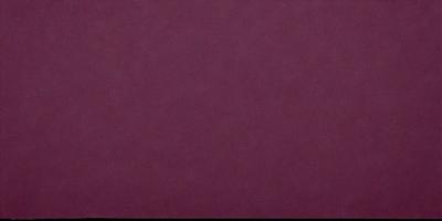 The primary subject of the image is a large, purple wall. The setting is a room with a purple wall, and the visual style is a close-up of the wall. The colors and mood of the image are predominantly purple, creating a calm and serene atmosphere.