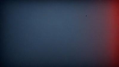 The primary subject of the image is a bird flying in the sky. The bird is positioned towards the top right corner of the image. The setting is a dark, cloudy sky, which creates a moody atmosphere. The visual style appears to be a photo, capturing the bird in its natural environment. The colors in the image are predominantly dark, with the bird being the only bright spot in the scene.