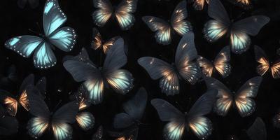 The primary subject of the image is a group of butterflies. There are several butterflies in the scene, with some of them being blue and yellow. The butterflies are arranged in a pattern, creating a visually appealing composition. The setting is a dark background, which contrasts with the bright colors of the butterflies, giving the image a dramatic and artistic feel. The visual style of the image is a combination of photo and digital art, as it captures the beauty of the but
