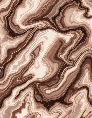 The primary subject of the image is a close-up of a marbled stone surface. The setting is a natural environment, with the stone surface being the main focus of the image. The visual style is a close-up of the marbled stone, which gives a sense of texture and depth to the image. The colors and mood of the image are predominantly earthy tones, creating a natural and organic atmosphere.