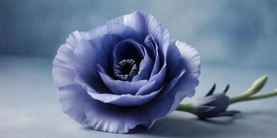 The primary subject of the image is a blue flower with a silver center. The flower is placed on a table, which serves as the setting. The visual style of the image is a close-up of the flower, showcasing its details. The dominant colors in the image are blue and silver, creating a calm and serene atmosphere.