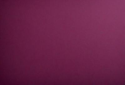 The primary subject of the image is a large, pink wall. The setting is a room with a pink background, and the visual style is a close-up of the wall. The dominant colors in the image are pink, and the overall atmosphere is warm and inviting.