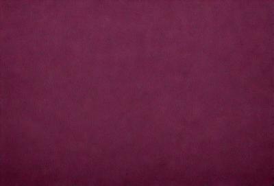 The primary subject of the image is a purple background. The setting is a dark, purple room with a wall that is predominantly purple. The visual style is a close-up of the purple wall, which gives a sense of depth and texture to the image. The colors and mood of the image are predominantly purple, creating a calm and serene atmosphere.