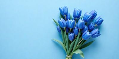 The primary subject of the image is a bouquet of blue tulips. The setting is a blue wall, which serves as the backdrop for the flowers. The visual style is a close-up of the flowers, showcasing their vibrant blue color. The overall atmosphere is serene and calming, as the blue tulips create a sense of tranquility and beauty.