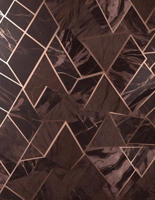 The primary subject of the image is a marble wall with a unique pattern. The setting is a room with a marble floor, and the visual style is a close-up of the marble wall. The colors and mood of the image are predominantly dark, with the marble providing a contrasting texture.