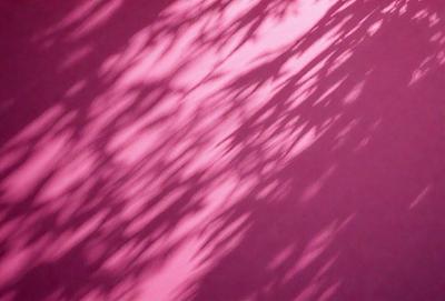 The primary subject of the image is a tree with a pink background. The tree is casting a shadow on the wall, creating a visually striking scene. The setting appears to be an indoor environment, possibly a room with a pink wall. The visual style of the image is a combination of photo and digital art, as it captures the tree's shadow and the pink wall in a unique and artistic manner. The colors and mood of the image are predominantly pink, creating a warm and inviting atmosphere