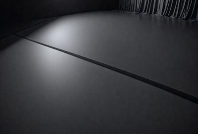 The primary subject of the image is a large, empty stage with a black floor. The setting is a theater or a similar venue, and the visual style is a black and white photo. The colors and mood of the image are predominantly dark and dramatic, creating a sense of emptiness and anticipation for the events that will take place on this stage.