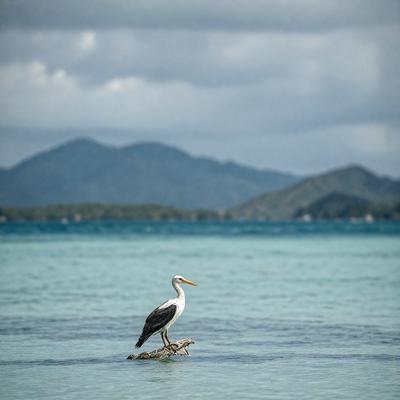 The primary subject of the image is a bird standing on a rock in the water. The bird is positioned in the center of the scene, and the water appears to be a mix of blue and green. The setting is a serene body of water, with mountains visible in the background. The visual style of the image is a photo, capturing the bird in its natural habitat. The colors and mood of the image are calming and serene, with the blue and green water creating a peaceful atmosphere.