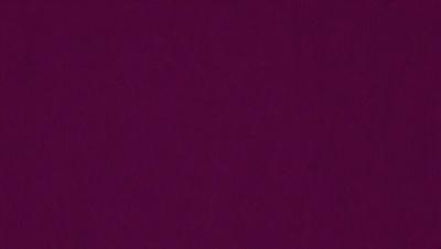 The primary subject of the image is a purple background. The setting is a dark, purple room with a wall that is entirely purple. The visual style is a close-up of the purple wall, which creates a moody and dramatic atmosphere. The colors and mood of the image are dominated by the purple hue, giving the scene a sense of depth and intensity.