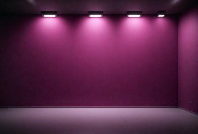 The primary subject of the image is a large, empty room with a purple wall. The setting is a dark room with a purple wall, and the visual style is a photo. The room appears to be a large, empty space with a purple wall, and the colors and mood suggest a calm and serene atmosphere.