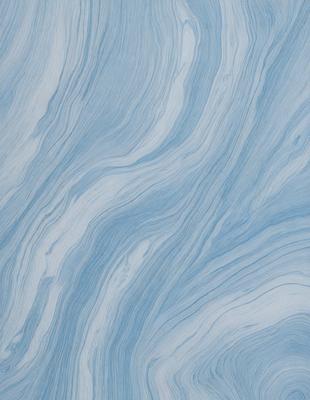 The primary subject of the image is a blue and white marbled surface, which appears to be a painting or drawing. The setting is a blue and white marbled wall, and the visual style is a combination of artistic and digital elements. The colors and mood of the image are predominantly blue and white, creating a calm and serene atmosphere.
