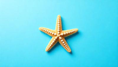 The primary subject of the image is a white starfish with a yellow center, sitting on a blue surface. The setting is a blue background, and the visual style appears to be a photo. The colors and mood of the image are predominantly blue and calm, with the starfish being the focal point of the scene.
