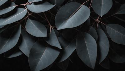 The primary subject of the image is a close-up of a leafy plant with green leaves. The setting is a dark background, which creates a dramatic contrast with the plant. The visual style is a black and white photo, giving the image a classic and timeless appearance. The dominant colors are green and black, creating a serene and natural atmosphere.
