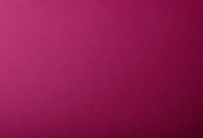The primary subject of the image is a large, pink wall. The setting is a room with a pink background, and the visual style is a close-up of the wall. The dominant colors are pink, and the overall atmosphere is warm and inviting.