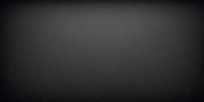 The image is a black and white photo of a gray background.