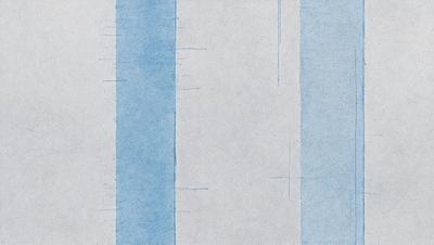 The primary subject of the image is a blue and white striped wallpaper. The setting is a room with a blue and white striped wallpaper on the wall. The visual style is a patterned wallpaper, and the colors and mood are predominantly blue and white, creating a calm and soothing atmosphere.