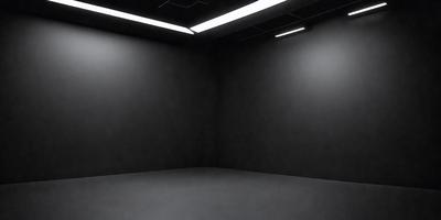 The primary subject of the image is a black room with a white ceiling. The setting is a dark room with a white ceiling, and the visual style is a black and white photo. The dominant colors are black and white, creating a moody atmosphere.