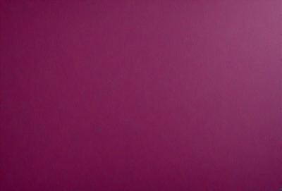 The primary subject of the image is a large, pink wall. The setting is a room with a pink background, and the visual style is a close-up of the wall. The dominant colors are pink, and the overall atmosphere is warm and inviting.
