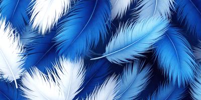 The primary subject of the image is a close-up of a blue and white feather. The setting is a blue background, which creates a striking contrast with the white and blue feather. The visual style is a close-up of a single feather, emphasizing its details and texture. The colors and mood of the image are predominantly blue and white, giving it a calm and serene atmosphere.