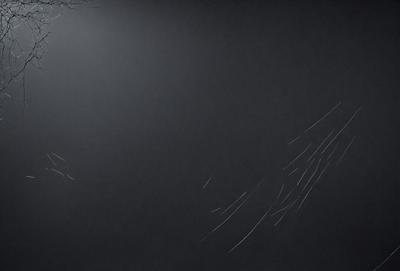 The primary subject of the image is a bird, which is flying in the dark sky. The setting is a black background, creating a dramatic and moody atmosphere. The visual style is a combination of a photo and digital art, as the bird appears to be drawn or digitally manipulated. The colors are predominantly black, with the bird being the only visible object, creating a sense of depth and contrast.