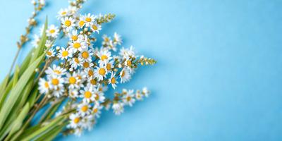 The primary subject of the image is a white flower with yellow centers, which is placed against a blue background. The visual style of the image is a close-up of the flower, showcasing its details. The colors and mood of the image are predominantly blue and white, creating a calm and serene atmosphere.