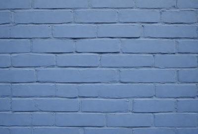 The primary subject of the image is a blue brick wall. The setting is a brick wall, and the visual style is a photo. The dominant colors are blue and white, creating a calm and serene atmosphere.
