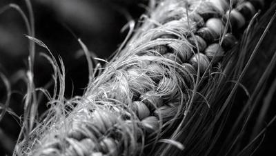 The primary subject of the image is a close-up of a rope, which is the main object in the scene. The rope is woven and has a texture that appears to be a mix of black and white. The setting is a dark background, which contrasts with the rope, making it the focal point of the image. The visual style is a close-up of the rope, showcasing its texture and weave. The colors and mood of the image are predominantly dark, with the ro
