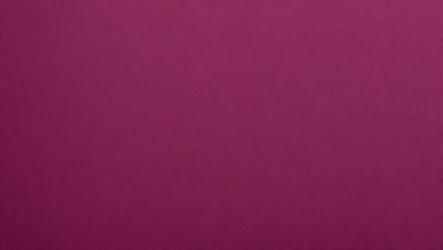 The primary subject of the image is a large, pink wall. The setting is a room with a pink background, and the visual style is a close-up of the wall. The dominant colors in the image are pink, and the overall atmosphere is warm and inviting.