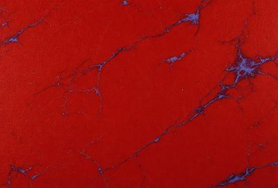 The primary subject of the image is a red leather surface with a marbled texture. The setting is a room with a red background, and the visual style is a close-up of the red leather. The colors and mood of the image are predominantly red, creating a warm and vibrant atmosphere.