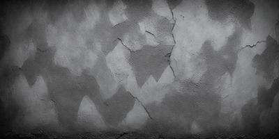The primary subject of the image is a wall with a cracked and peeling texture. The setting is an outdoor environment, possibly a building or a wall. The visual style is a black and white photo, which adds a sense of age and history to the scene. The colors and mood of the image are predominantly dark and moody, with the cracked and peeling wall creating a sense of decay and wear.