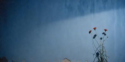 The primary subject of the image is a single red flower, which is the main focus of the scene. The setting is a cloudy sky, with the flower standing out against the backdrop. The visual style of the image is a painting, which adds a sense of artistic expression to the scene. The dominant colors in the image are red and blue, creating a striking contrast between the flower and the sky. The overall atmosphere of the painting is serene and peaceful, with the flower standing tall against the backdrop of the cloudy sky