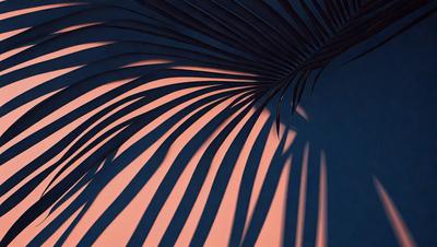 The primary subject of the image is a palm tree with a large, curved leaf. The setting is a pink background, which adds a warm and vibrant atmosphere to the scene. The visual style is a combination of a photo and a digital art, creating a unique and artistic representation of the palm tree. The colors and mood of the image are predominantly pink, which gives it a soft and inviting feel.