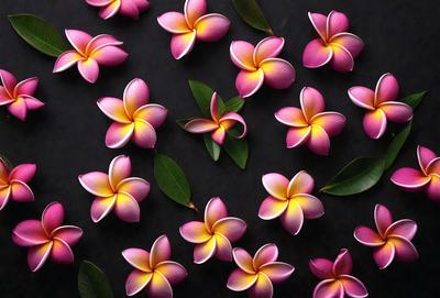 The primary subject of the image is a close-up of a flower, likely a pink or purple orchid, with a green leaf. The flower is surrounded by other flowers, creating a visually appealing and vibrant scene. The setting is a black background, which contrasts with the colorful flowers, emphasizing their beauty. The visual style of the image is a close-up, focusing on the details of the flower and its surroundings. The colors and mood of the image are predominantly p