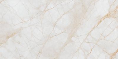 The primary subject of the image is a white marble wall with a brown vein running through it. The setting is a room with a white marble floor. The visual style is a close-up of the marble wall, showcasing its unique texture and color. The colors and mood of the image are predominantly white and brown, creating a sense of elegance and sophistication.