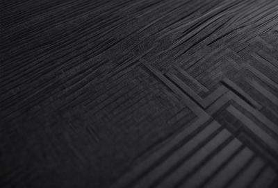 The primary subject of the image is a black and white patterned surface. The setting is a dark background, and the visual style appears to be a combination of a photo and a digital art or illustration. The colors and mood of the image are predominantly dark and moody, with the black and white pattern creating a sense of depth and contrast.