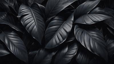The primary subject of the image is a close-up of a large leaf, possibly a fern, with a black background. The leaf is the focal point of the image, and it appears to be a drawing or illustration rather than a photo. The visual style gives the image a dramatic and artistic feel. The colors in the image are predominantly black, creating a moody and dramatic atmosphere.