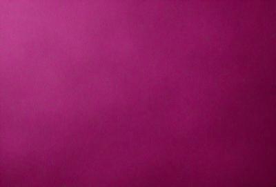 The primary subject of the image is a large, pink wall. The setting is a room with a pink background, and the visual style is a close-up of the wall. The dominant colors in the image are pink, and the overall atmosphere is bright and vibrant.